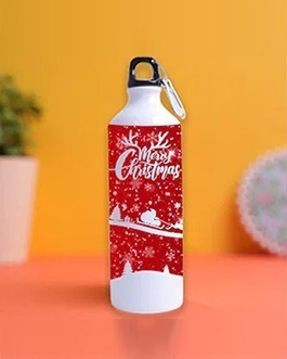 Merry christmas with santa -Personalized sipper water bottle