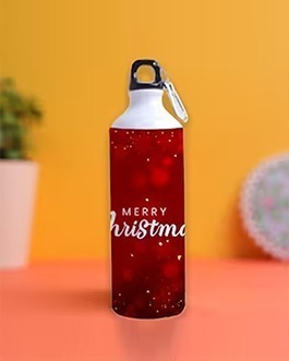 Merry christmas with santa -Personalized sipper water bottle