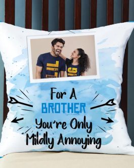 brother double sideded photo cushion