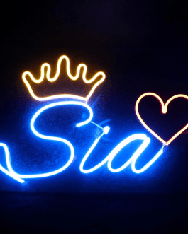 CUSTOMIZED NEON NAME LIGHT FRAMES WITH CROWN