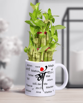 Special Maa Mug With Bamboo Plant